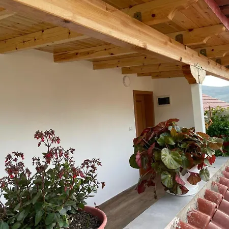 & Hospitality 4* Berat