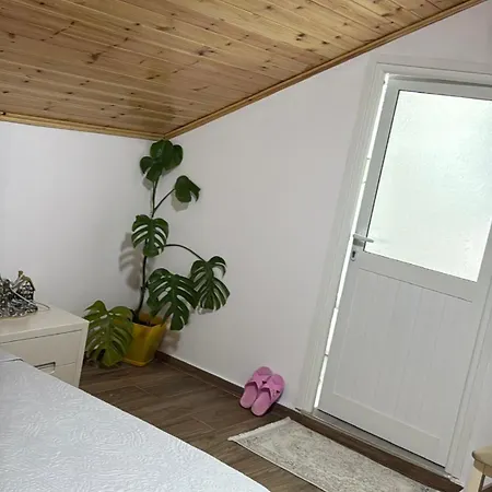 Guest house & Hospitality *